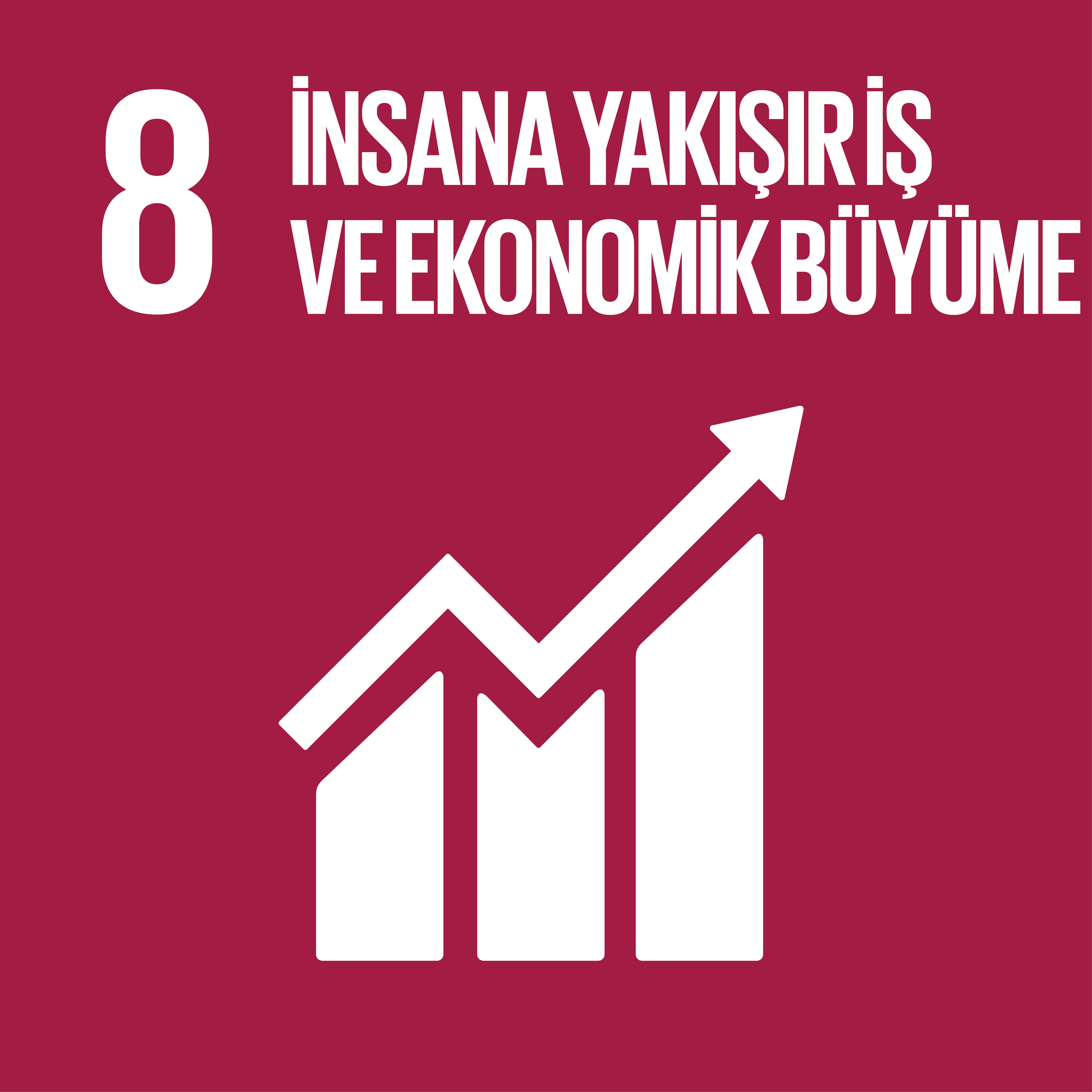 SKA 8: İnsana Yakışır İş ve Ekonomik Büyüme