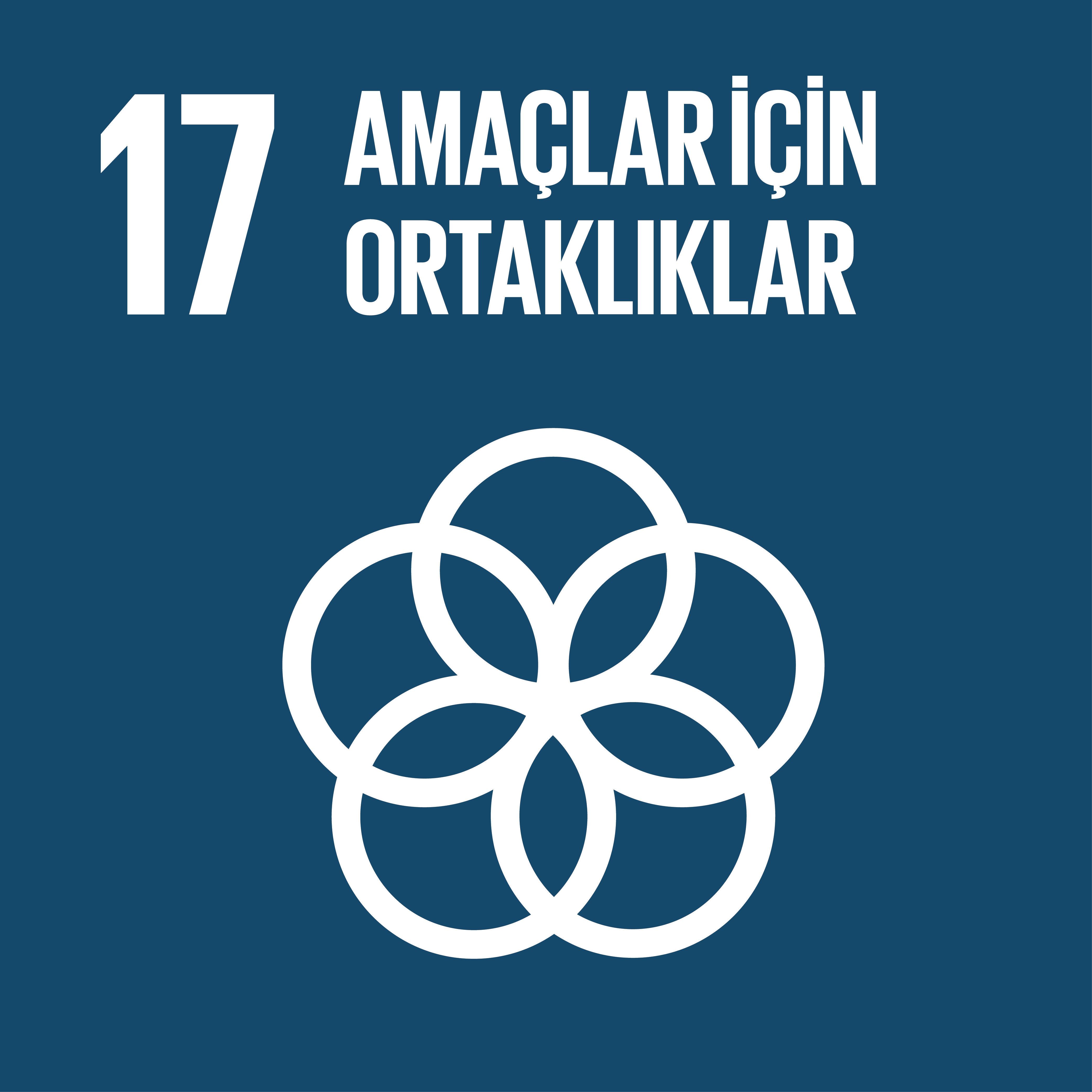 SKA 17: Amaçlar İçin Ortaklıklar